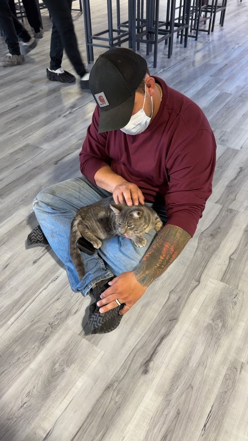 The Room Where Stress Gets Outsmarted