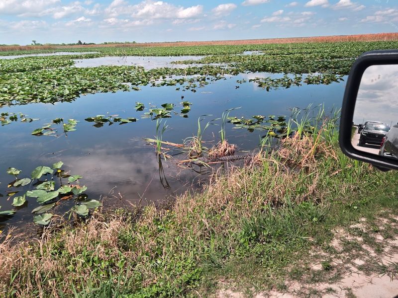 The Free Audio Tour Along the Route
