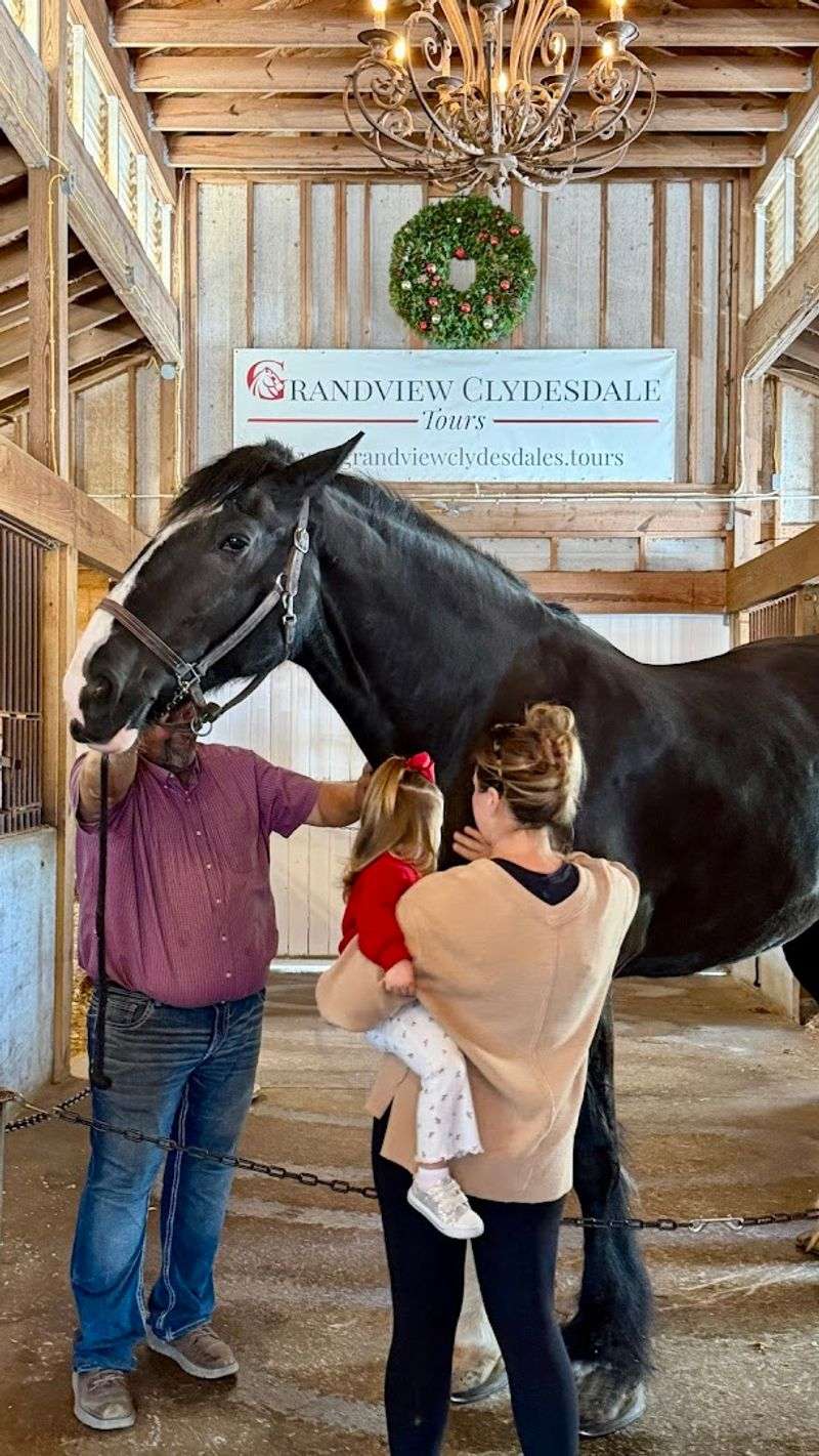 What the Tour Experience Actually Looks Like