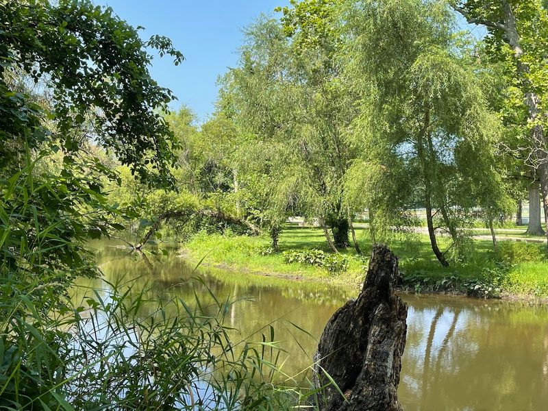 The River Does the Talking