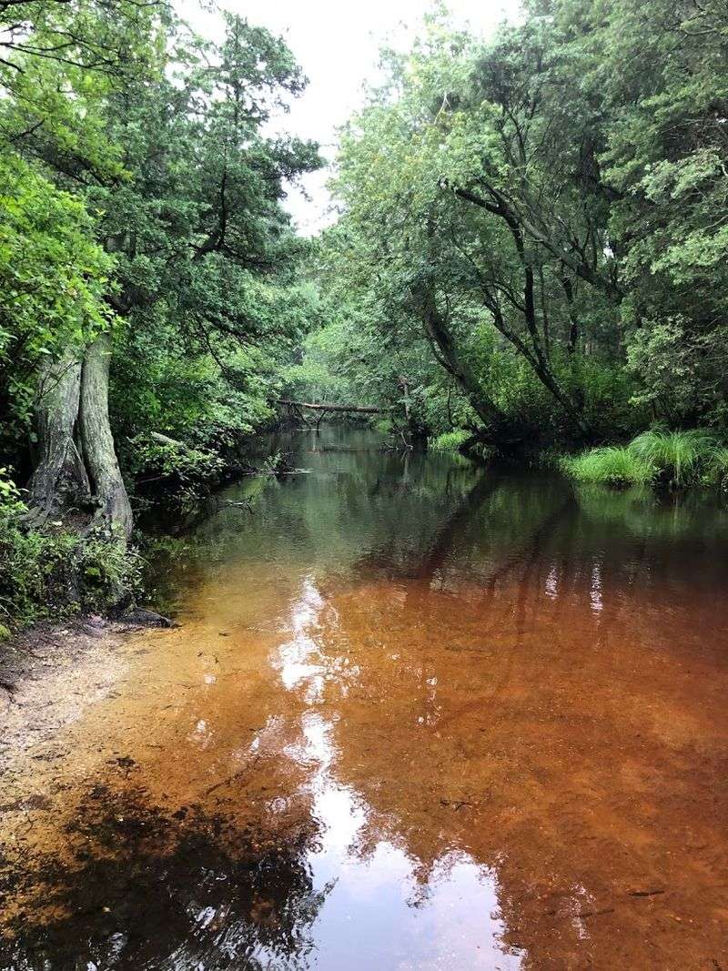 The Water Situation Every Camper Needs to Know