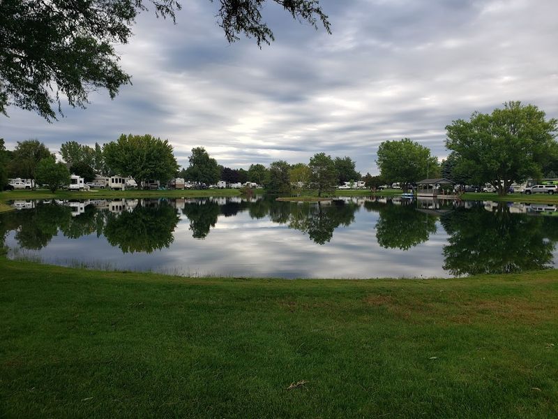 The Pond at the Center of It All