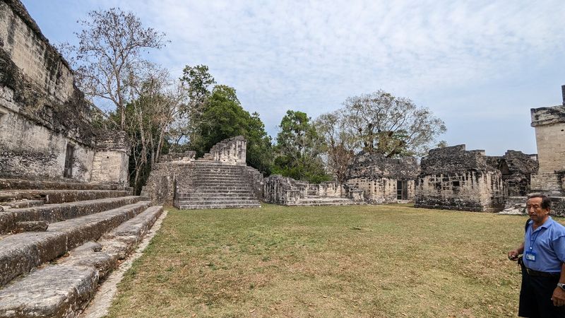 What LiDAR Is Finding Beneath the Trees