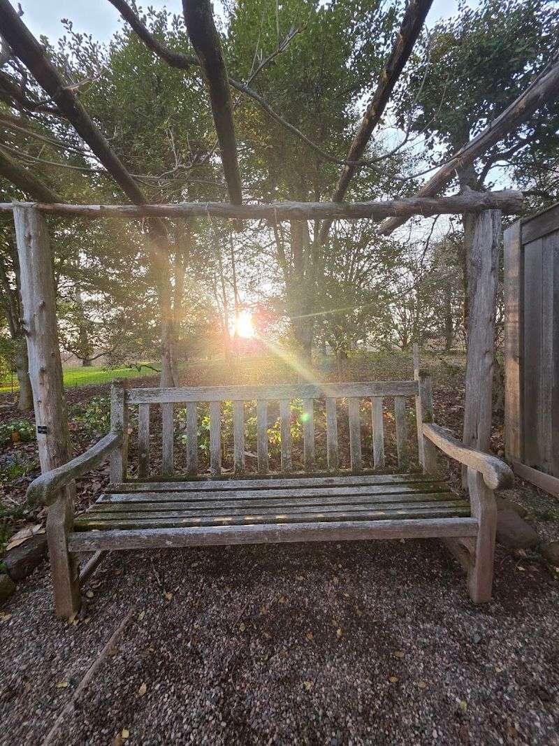 Perfect for Picnics, Photography, and Quiet Afternoons