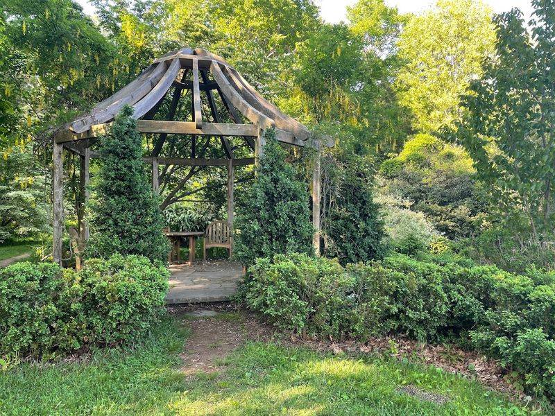 Practical Tips Before You Go