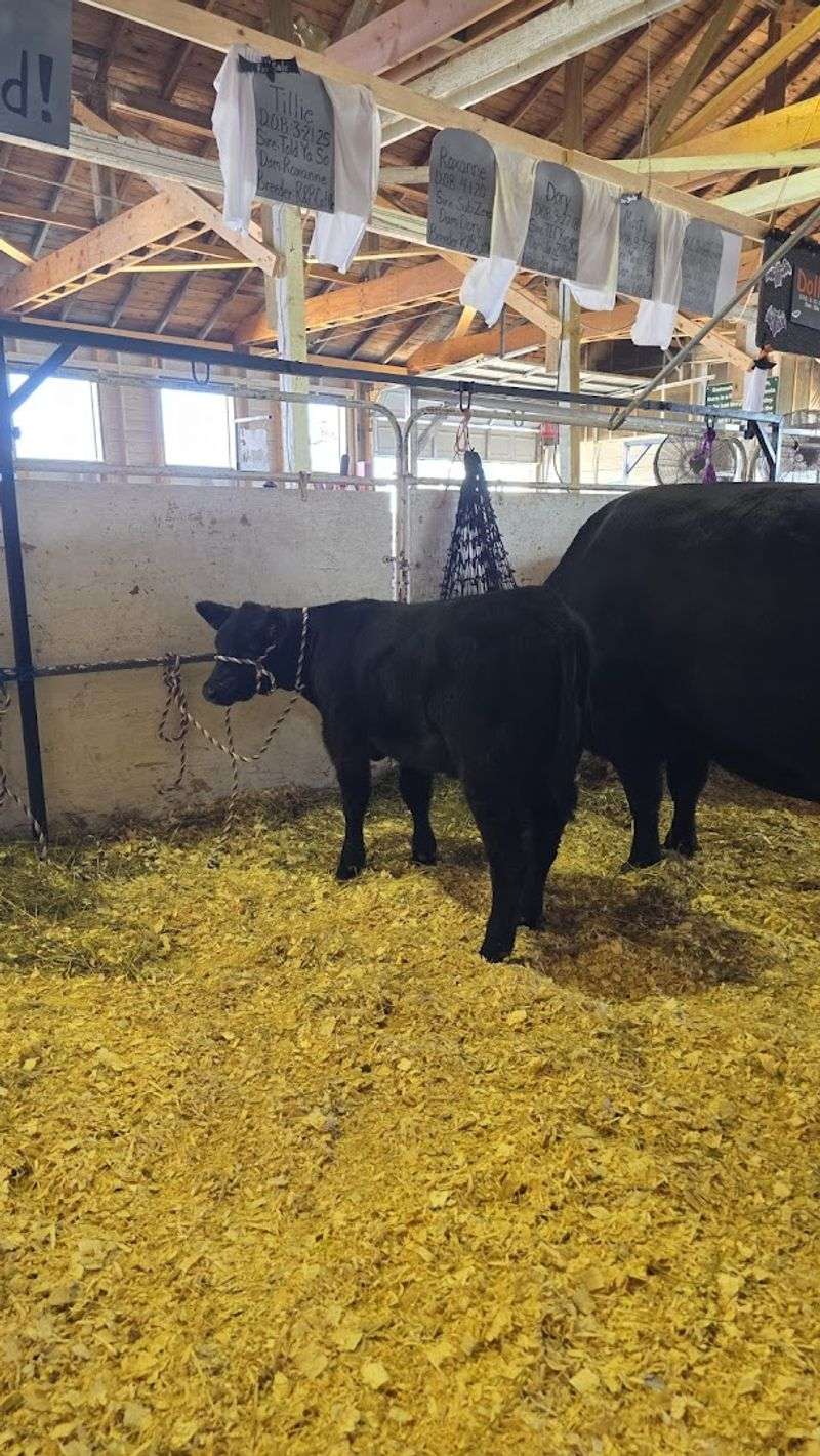 Where Agriculture Gets the Spotlight, Not the Side Tent