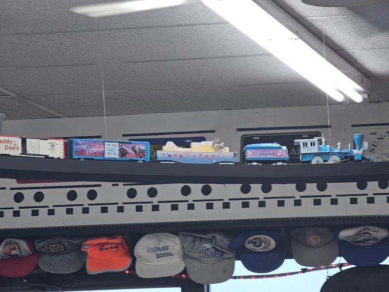 The Ceiling Train That Steals Every Kid's Attention