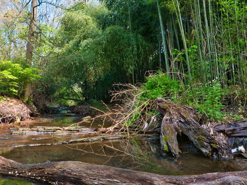 Why This Garden Keeps Drawing People Back