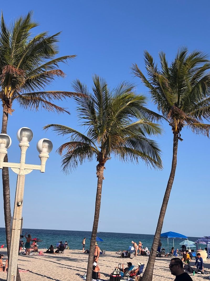 The Beachfront View and Outdoor Setting