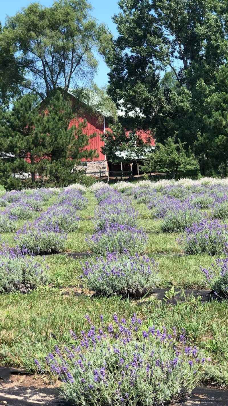 Planning Your Visit: Practical Tips for First-Timers