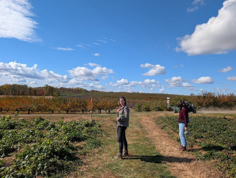 Pick-Your-Own Produce Across Acres of Real Fields