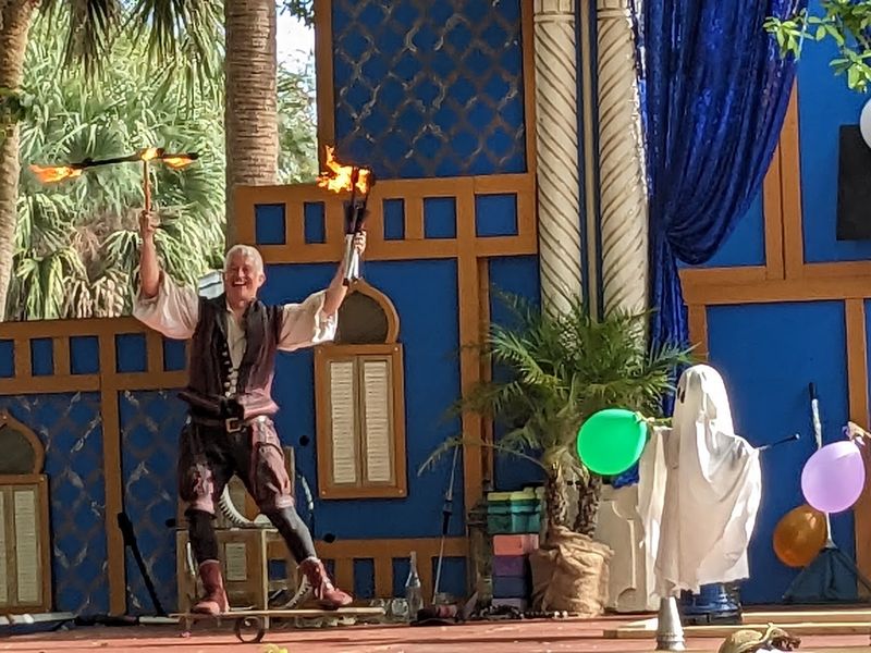 The Performers Who Steal the Show