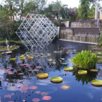 A Florida Garden With 1,000+ Plants and Seven Habitats You Can Walk Through