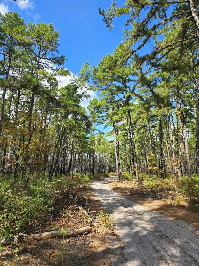 The Sandy Road Network That Connects It All