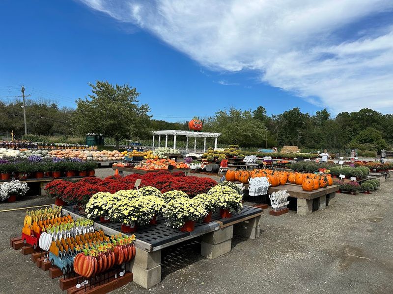 What to Know Before You Go