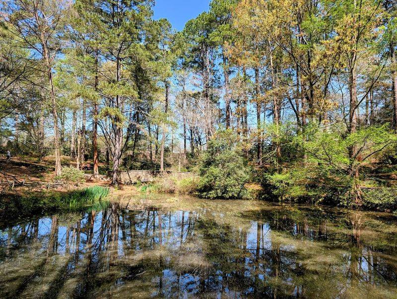 The Landscape Itself: 295 Acres of Pure Upstate Scenery