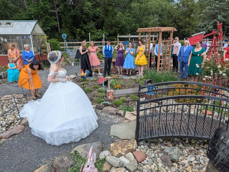 Events, Live Shows, and Birthday Parties