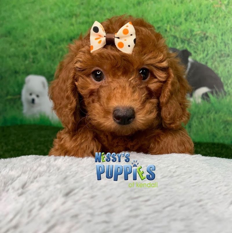 What Repeat Customers Keep Coming Back For