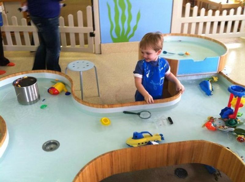 What the Five Senses Have to Do With Everything Here