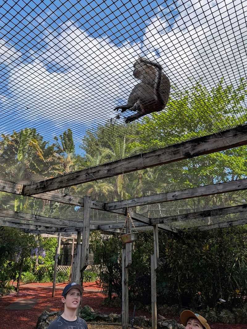 The Concept That Turns a Zoo Visit Upside Down