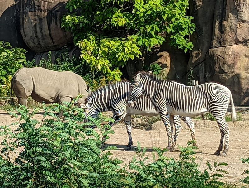The Animal Lineup: Over 100 Species Under One Roof