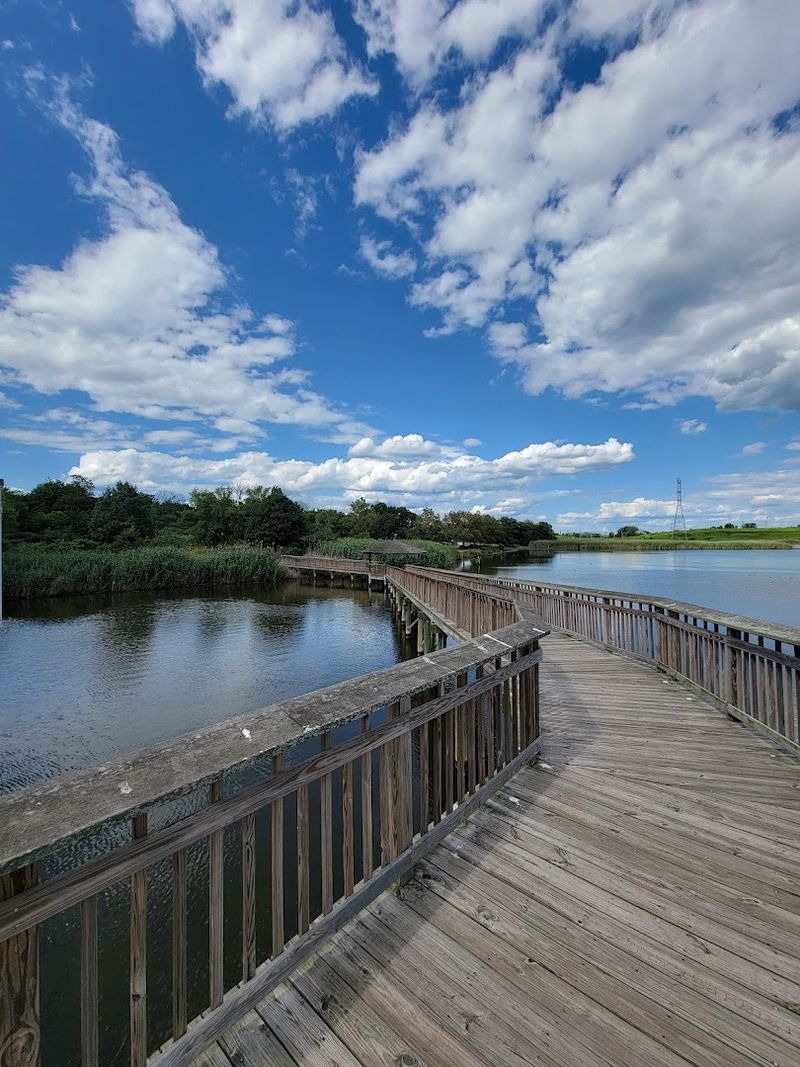 The Trails That Make It Worth the Drive