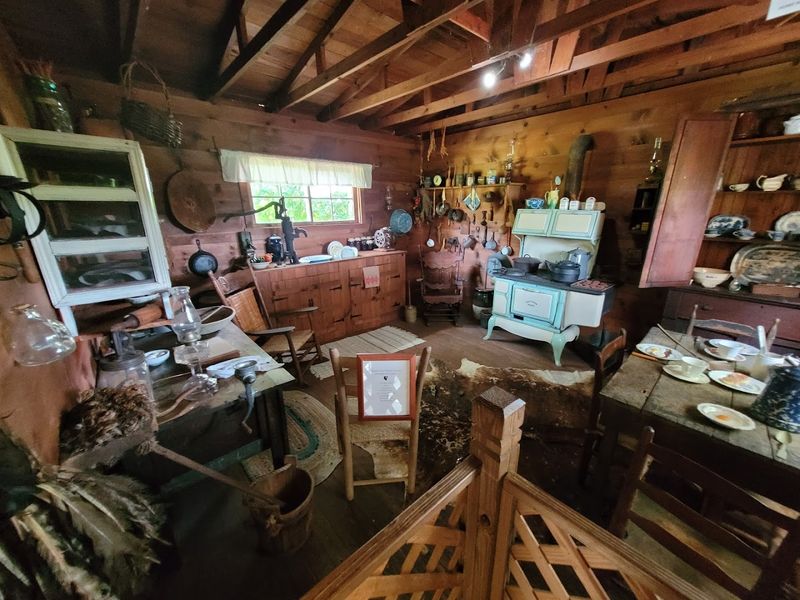 The Story Behind the Museum's Founding