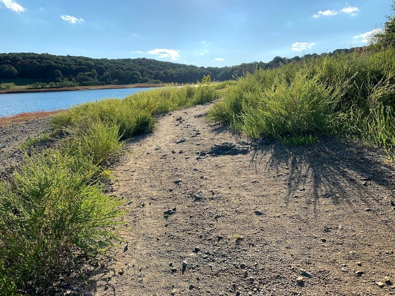 The Trails Are Not All Equal