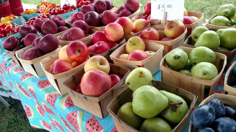 Fresh From the Farm: Produce You Can Actually Trust