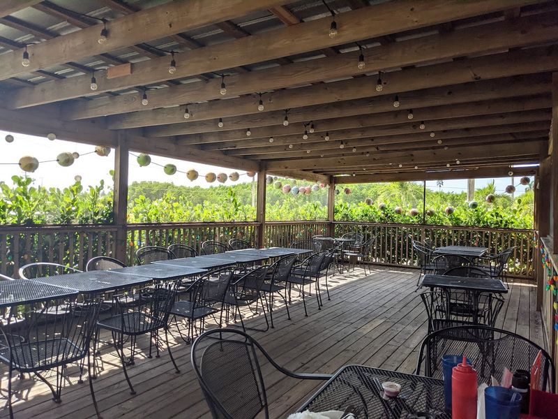 When to Visit and What to Expect