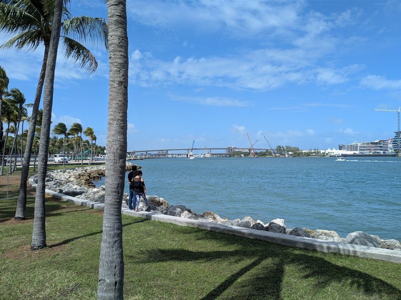 People-Watching as a Legitimate Afternoon Activity