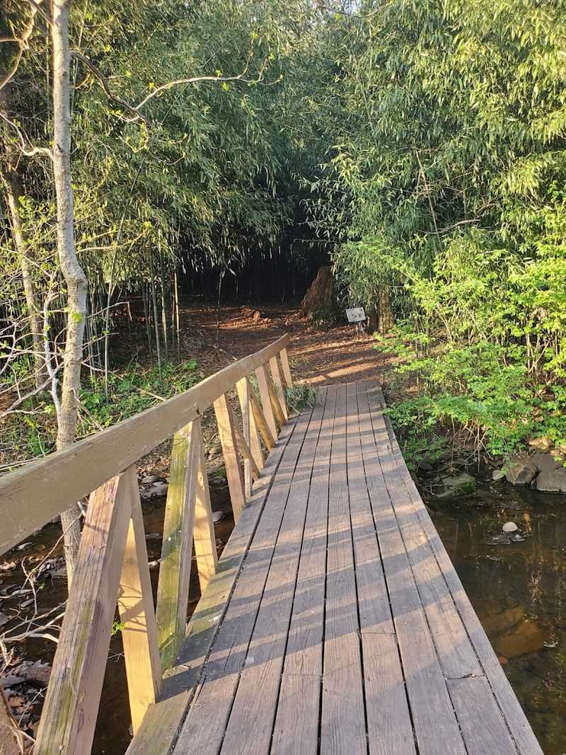 The Footbridge Over the Brook