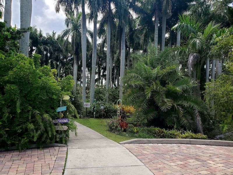 The Tropical Plant Collection That Surprises Everyone