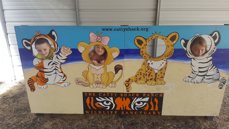 Perfect for Families and Young Animal Enthusiasts