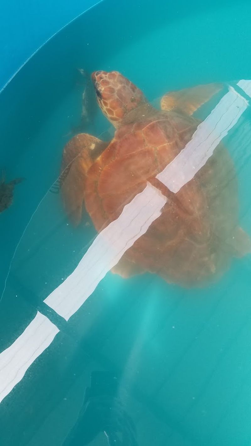 What Makes This Place Different From Any Aquarium