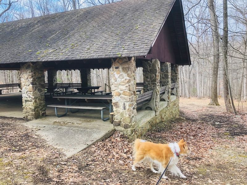 Dog-Friendly Trails With a Few Ground Rules