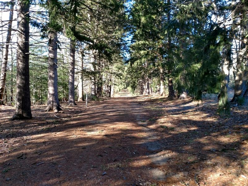 The Trail System That Keeps Everyone Moving