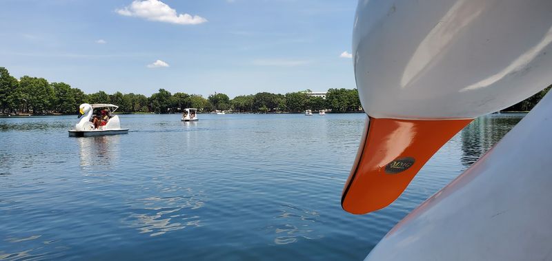 Bringing Kids and Families Along for the Ride