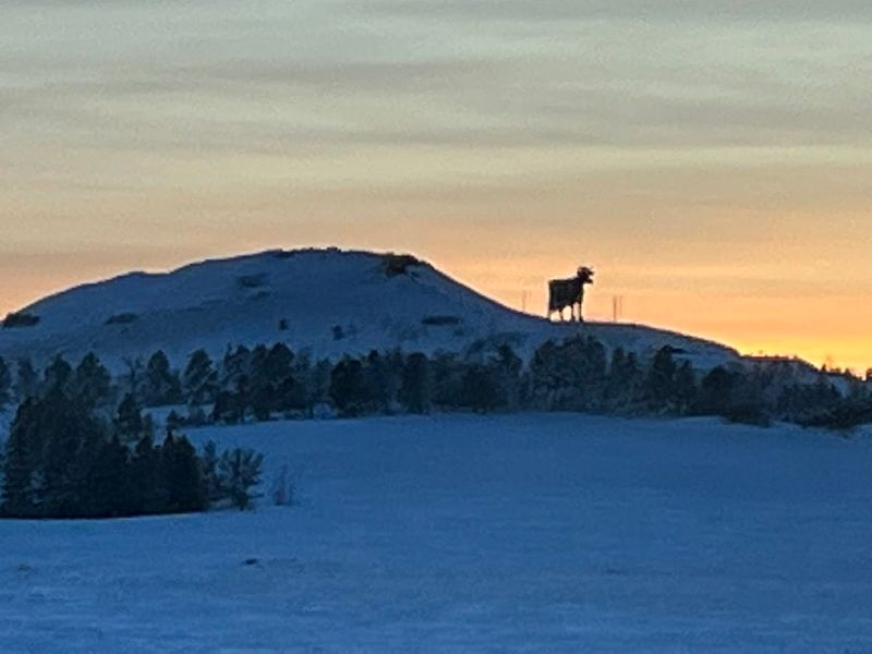 Open Around the Clock