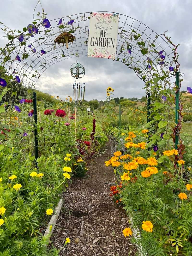 Community Gardens and the Shared Love of Growing Things