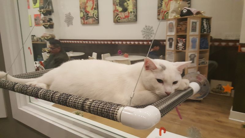 How the Visiting Hours Work