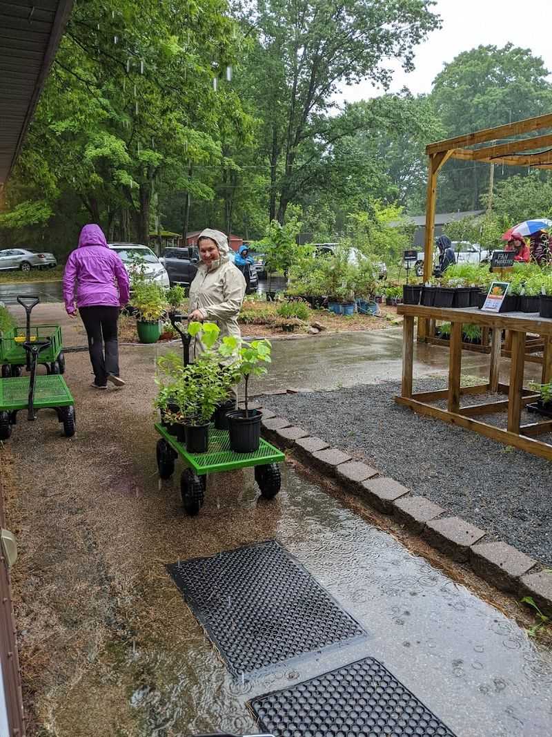 Native Plants and the Local Ecosystem