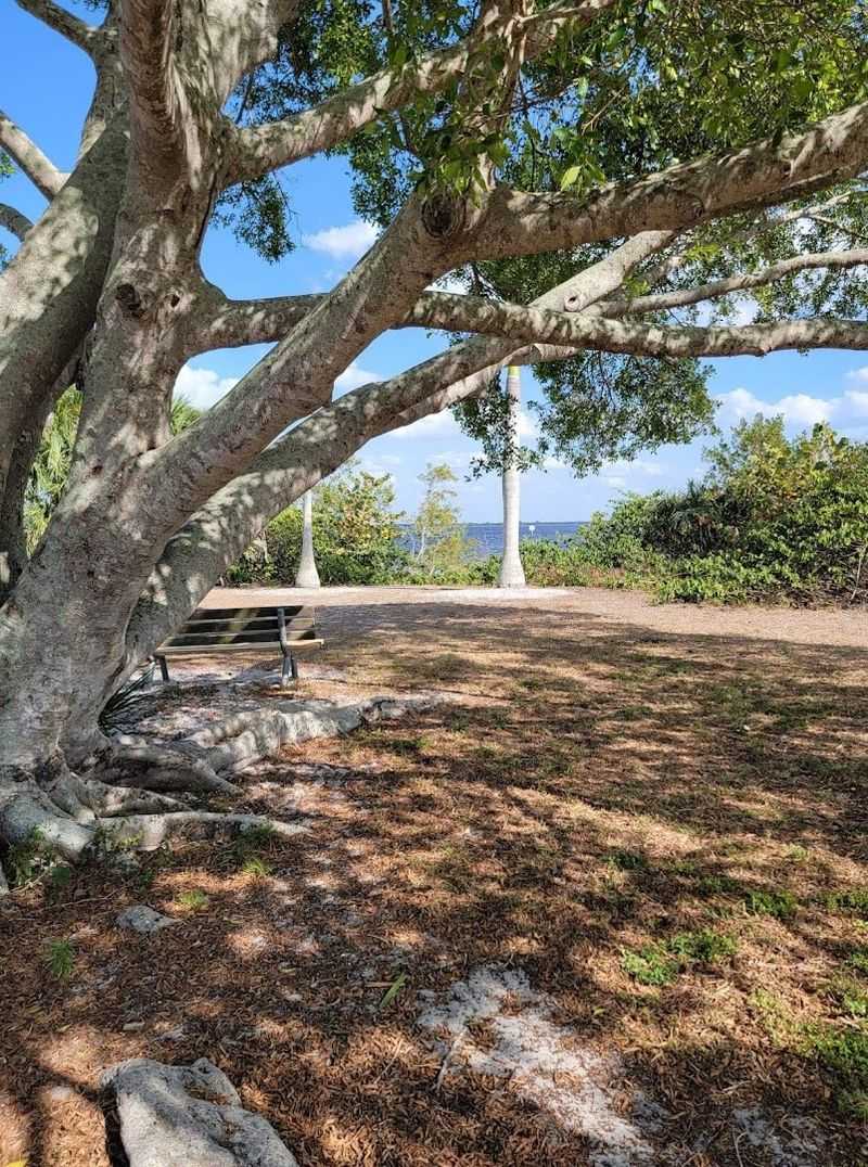 Picnic Pavilions and BBQ Grills Done Right