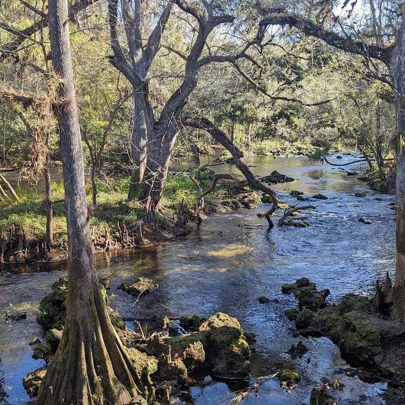 The Best Time to Visit and What to Expect by Season