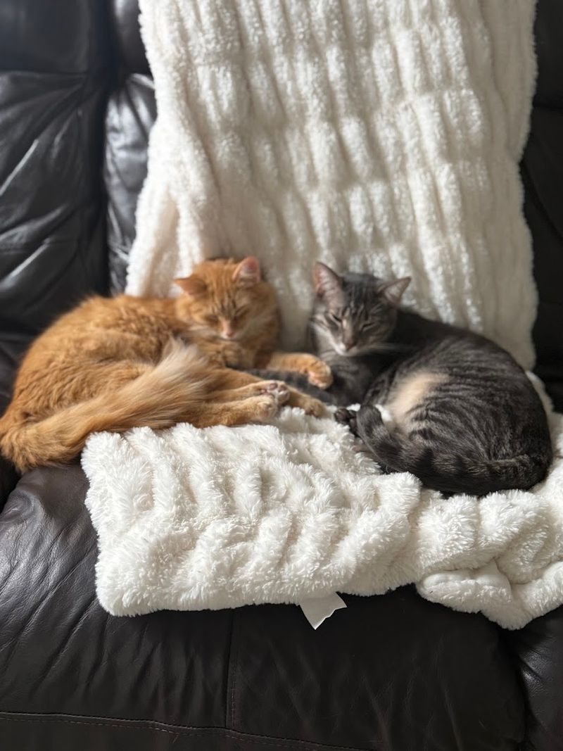 Why the Visit Stays With You