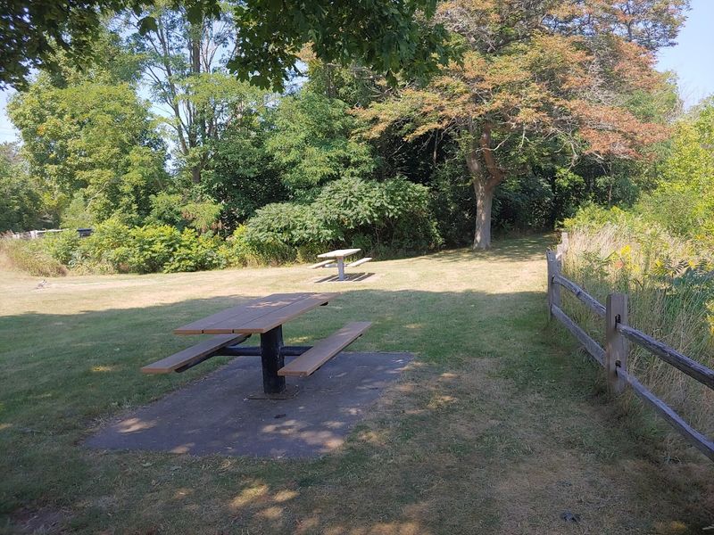Picnic Tables, Grills, and the Art of Doing Nothing