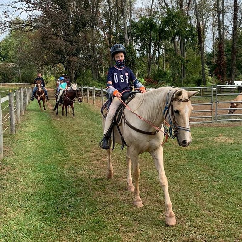 Riding Lessons for All Skill Levels