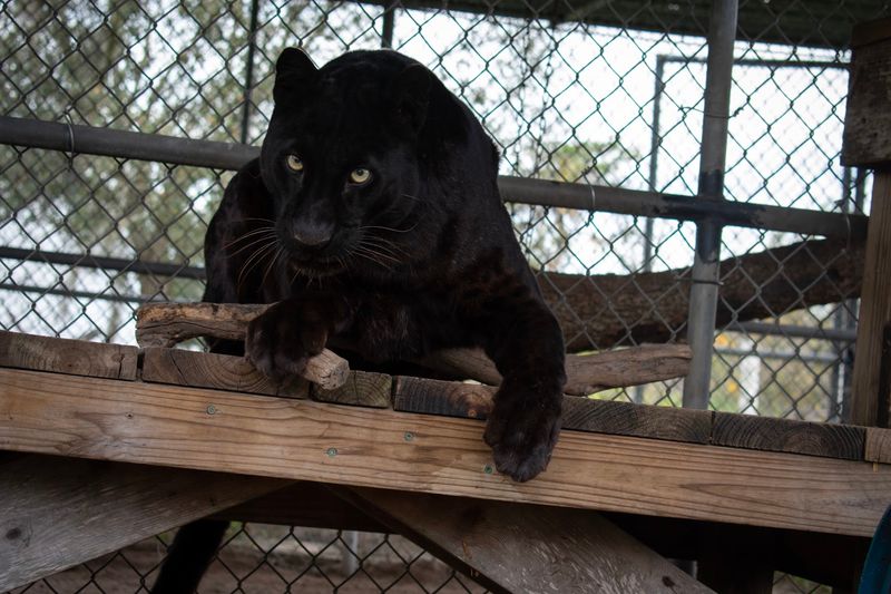 Why This Place Stays With You