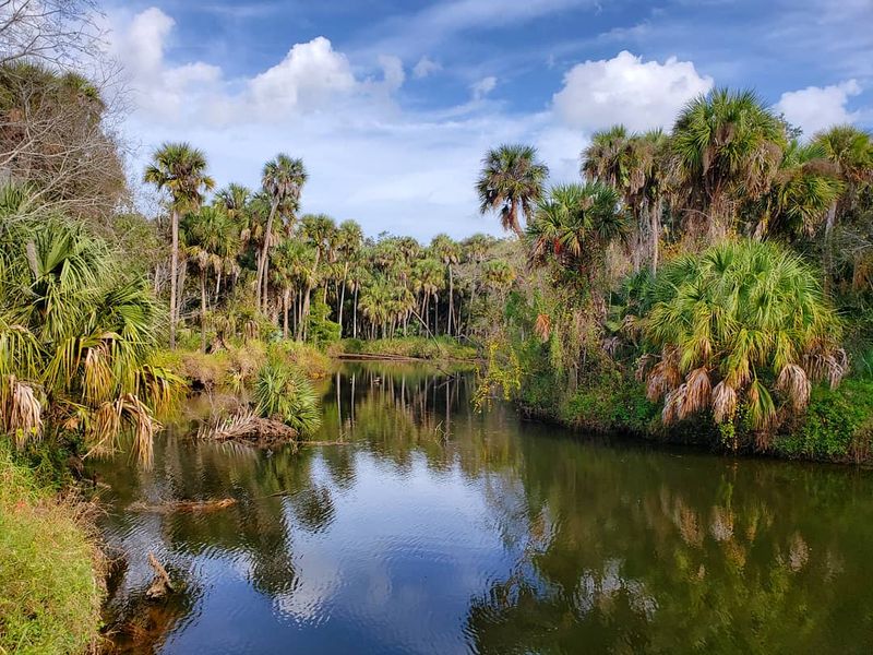 Why Turkey Creek Sanctuary Deserves a Spot on Your Florida List