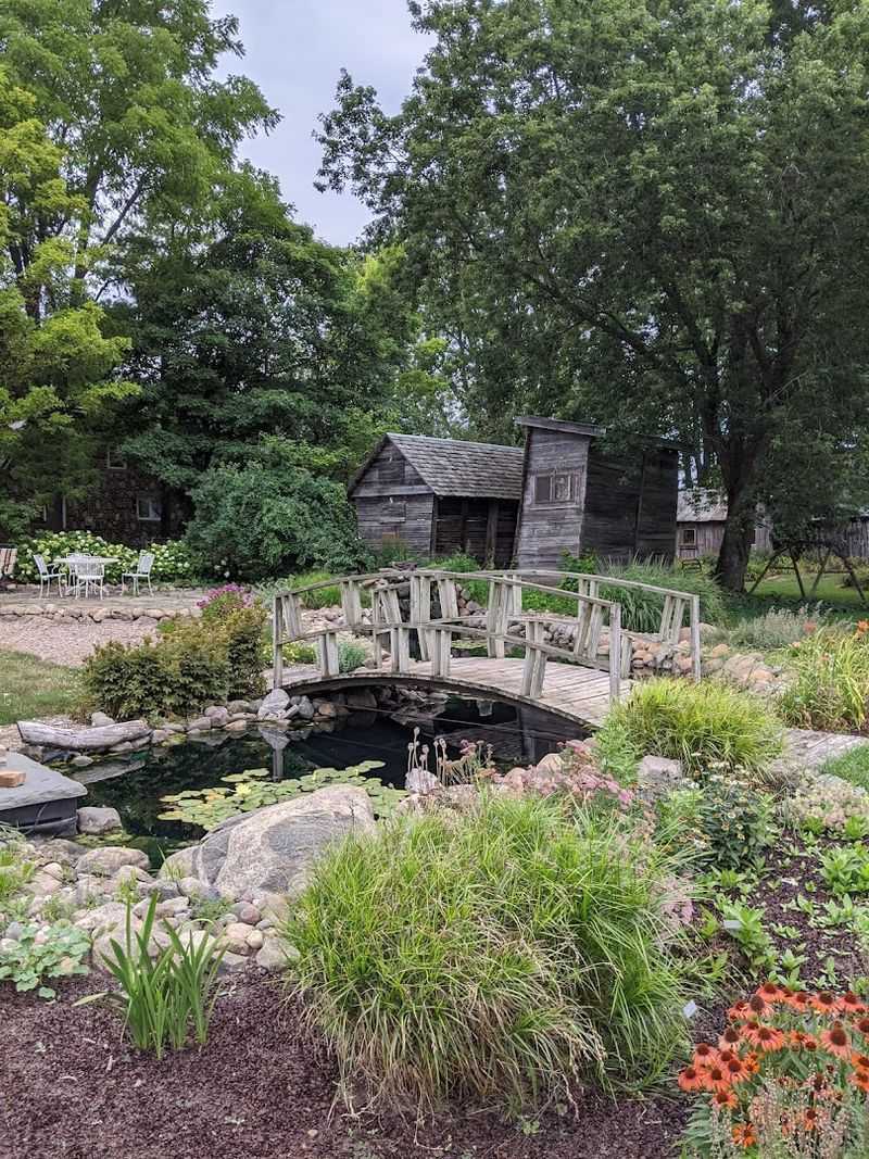 The Pond That Slows Everything Down